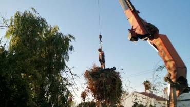 Recogida y transporte