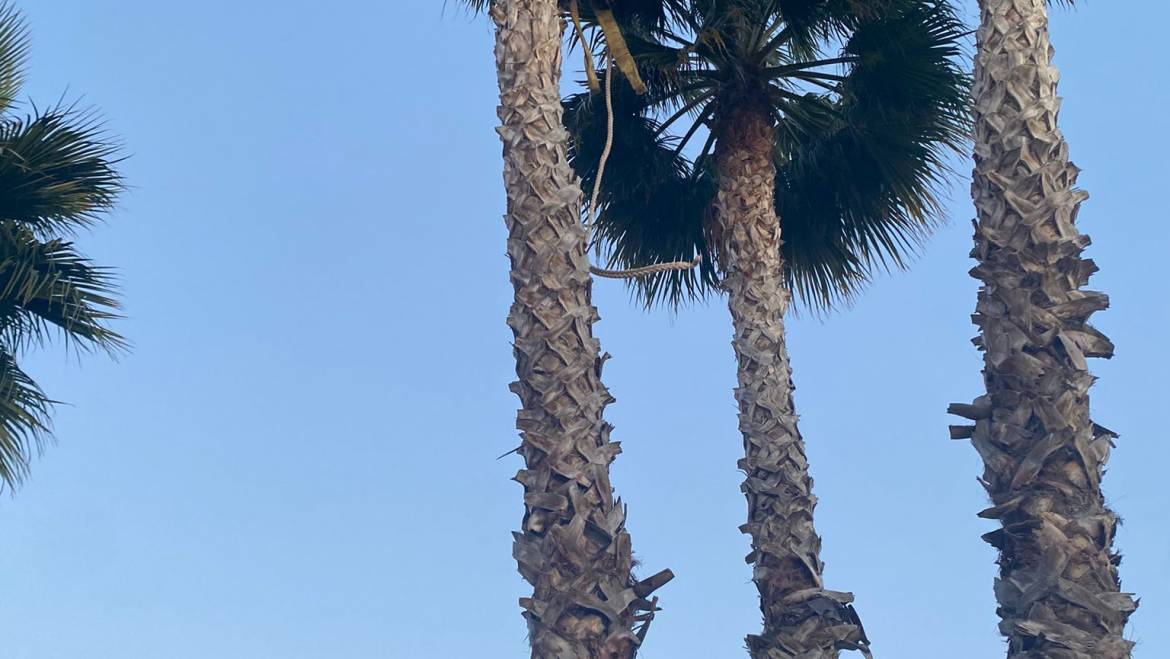 Trabajo realizado en Roda golf