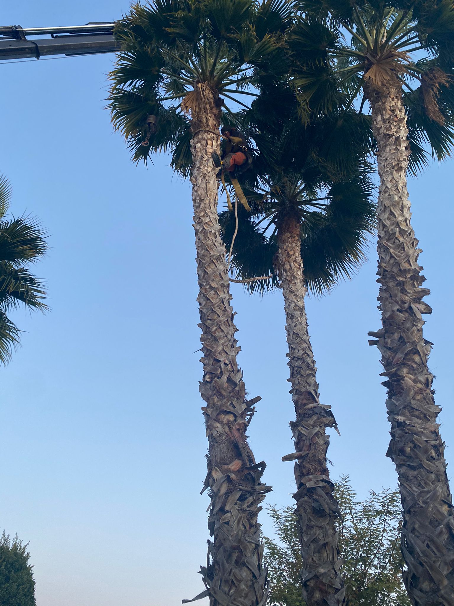 Trabajo realizado en Roda golf