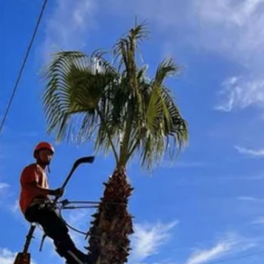 Jose Rámon Martínez Ibáñez