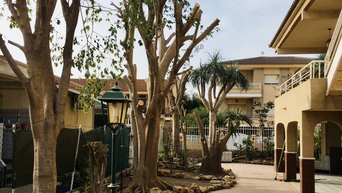 Trabajo en Los Alcázares para vivienda privada