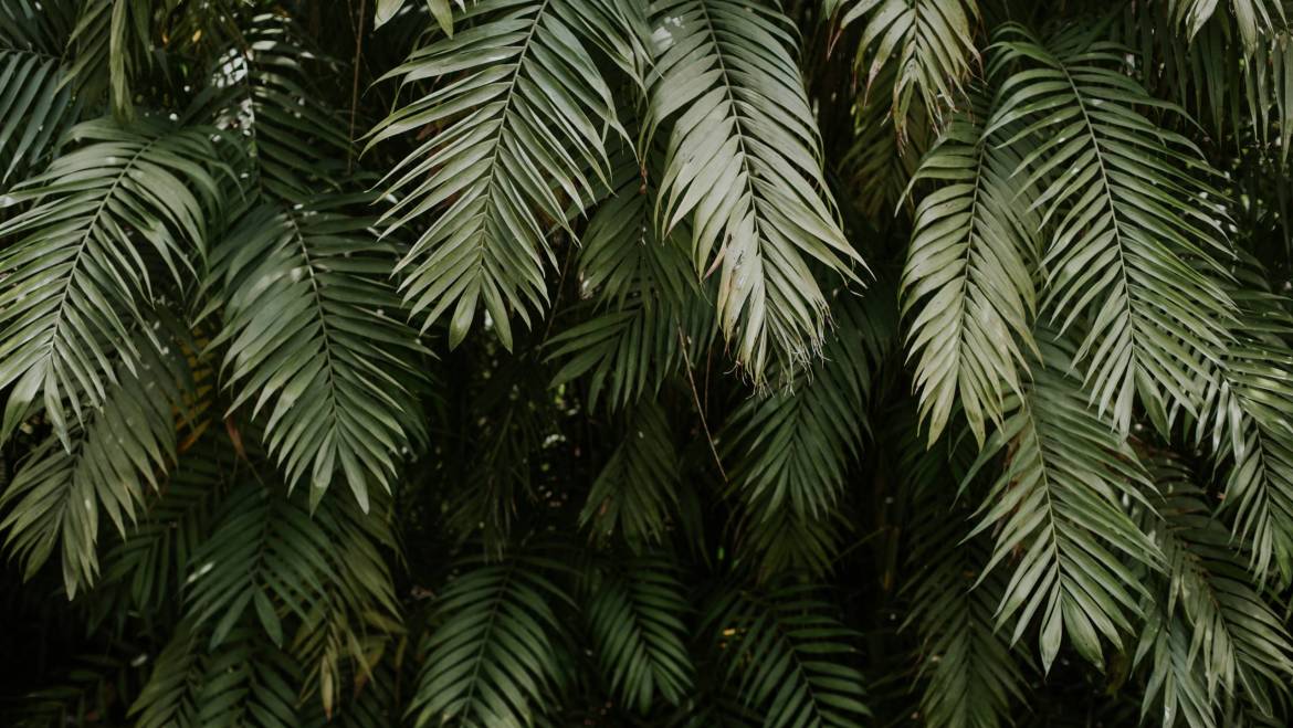 Precios competitivos